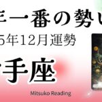 射手座12月は覚悟して🌈今年一番の「最高」が勢いよく到着‼️一緒にお祝いましょう♐️2025年12月運勢仕事恋愛人間関係【癒しのタロット個人鑑定級】