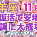 ♑山羊座11月運勢🌈✨確実な大幸運！希望到来！ああ良かったで喜びを💐✨️