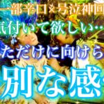 【🦋一部辛口×号泣神回💞】『気づいて欲しい』と、あなただけに向けられた“特別な感情”🦋