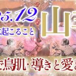 【やぎ座さん⛄️】12月あなたに起こること❄️さすがの山羊座さん‼️貴方は本当に必要とされています👏‼️不安は終わり報われていく✨チャンス掴み前進💫【タロット・ルノルマン・オラクルカード占い】
