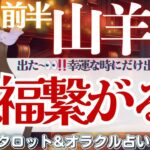 【山羊座】出た‼️幸運な時に出る1枚🐈‍⬛✨心からの開放感を味わえる時🪽✨【仕事運/対人運/家庭運/恋愛運/全体運】12月前半 タロット占い