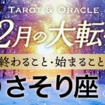 【蠍座♏️12月冬至】もうすぐ夜明け🌄豊かさ溢れる集大成のフェーズへ💫タロット＆オラクル／Tarot&Oracle card reading／Virgo