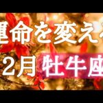 #牡牛座♉️2026年の運命が変わる12月🎅💎【結論からお伝えします】こっそりこっそり？それ大事👍✨※オフ会の詳細は概要欄へ🍀※タイムスタンプあり