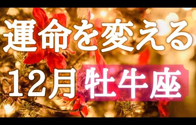 #牡牛座♉️2026年の運命が変わる12月🎅💎【結論からお伝えします】こっそりこっそり？それ大事👍✨※オフ会の詳細は概要欄へ🍀※タイムスタンプあり