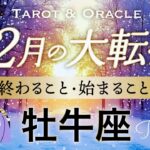 【牡牛座♉️12月冬至】もうすぐ夜明け🌄好転への大浄化が起きます！1番大切なことに気づくとき。タロット＆オラクル／Tarot&Oracle card reading／Taurus