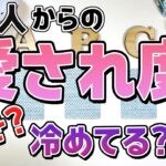 【選択肢〇さん！お相手の本気愛に涙😭💖】あの人からの愛され度。どれくらい好き？冷めてる？印象や気持ち・したいことを恋愛タロットで暴露【当たる占い】