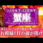 【蟹座】11月後半-12月後半／確かな進展！思ったよりずっと明るい景色を見る！✨🕊🌕【タロット】【運勢】【占い】【かに座】