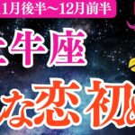 【牡牛座】2025年11月後半～おうし座恋愛運「こんなに穏やかな恋 初めてかも」