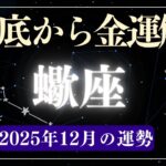 【蠍座】2025年12月さそり座の運勢をタロット占いと占星術で「どん底から金運解放」