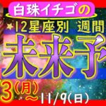 ★忖度なし★2025年11月3日〜11月9日の星座別☆週間未来予報★運気を上げるアドバイスつき★