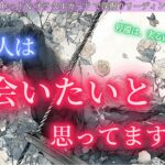 【停滞しているのは実る直前のサインだった！】会えるタイミング直前！？✨ あの人は会いたいと思っていますか？ タロット オラクルカードで深堀りリーディング🔮