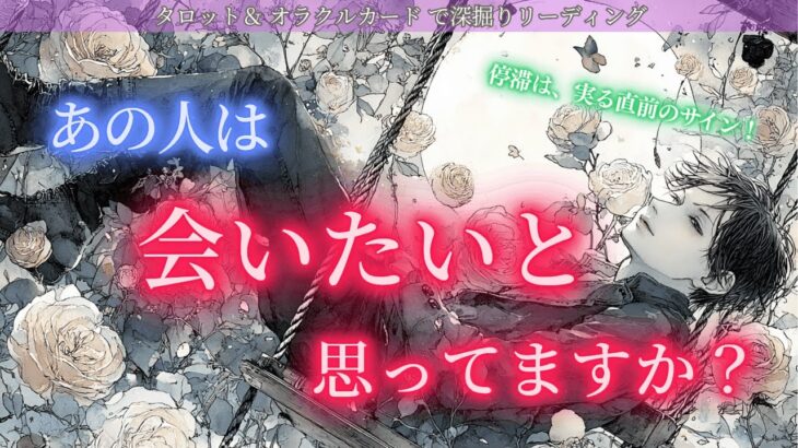 【停滞しているのは実る直前のサインだった！】会えるタイミング直前！？✨ あの人は会いたいと思っていますか？ タロット オラクルカードで深堀りリーディング🔮