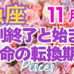 ♓魚座11月運勢🌈✨大幸運！猪突猛進！最高展開と始まり💐✨️