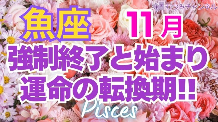♓魚座11月運勢🌈✨大幸運！猪突猛進！最高展開と始まり💐✨️