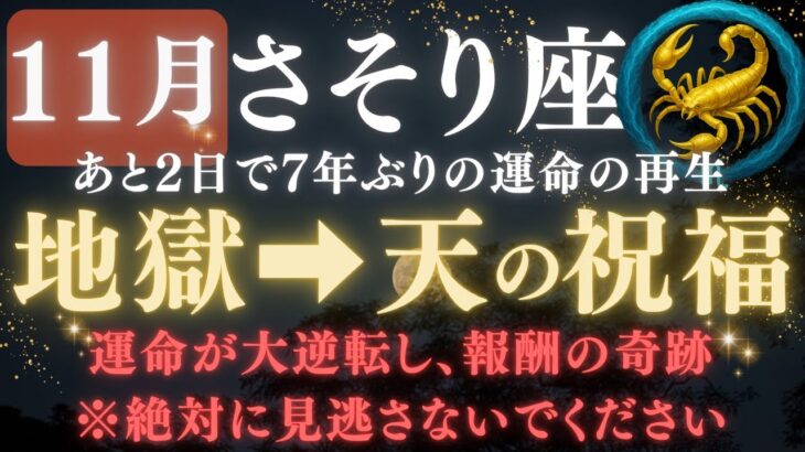 【さそり座♏️11月前半】🚨8秒以内に再生して！あと2日で《7年》続いた《試練》がついに終わり、宇宙銀行からの報酬が届く【12星座占い】  【2025年運勢】 #蠍座  #金運  #占星術 #開運