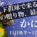 かに座♋️2025年11月後半〜12月前半🌝 幸運の大波！一気に解きほぐれる、新しいタイミング、時機が到来、やっと見つかった探しもの