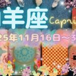 山羊座★2025/11/16～30★最高のバージョンのあなたになるための恋愛、さらに高みを目指していくための契約を結ぶ✨今までの自己修練がスポットライトを浴びる時