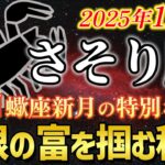 【蠍座✨水の星座】11月20日は蠍座新月！最強の変容で人生逆転🌙87ヶ月の苦しみが報われる奇跡【蠍座金運】