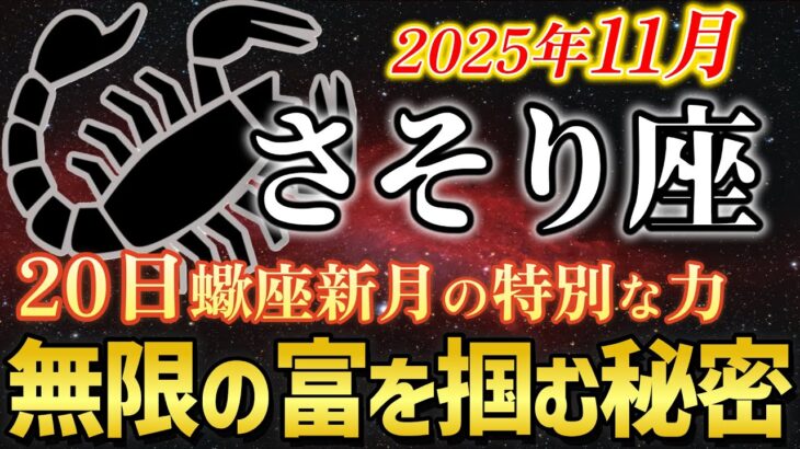 【蠍座✨水の星座】11月20日は蠍座新月！最強の変容で人生逆転🌙87ヶ月の苦しみが報われる奇跡【蠍座金運】