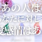 これは必見です😲💘【恋愛】あの人はあなたに対して恋愛感情はある？【タロット🔮オラクルカード】片思い・復縁・音信不通・複雑恋愛・曖昧な関係・疎遠・あの人の気持ち・本音・冷却期間・カードリーディング・占い
