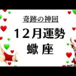 なんじゃこりゃー蠍座‼️史上最高の神回更新したかも。年末の奇跡。　　2025年12月全体運勢♏️仕事恋愛不安解消評価や印象【個人鑑定級タロットヒーリング】