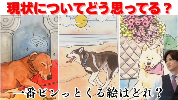 【彼は結局どうしたい？❤️‍🔥】あの人の現状について“ガチ本音”暴きます🩷今、あの人はこの状況をどう思ってるの？本音を男心×タロットで徹底解明🧠さらに関西弁でわかりやすく代弁＆アドバイスもお届けします