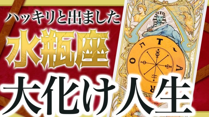 【11月28日までに見れたらラッキー】水瓶座さんもうちょっと耐えて。12月にまさかの事態が… わたり先生
