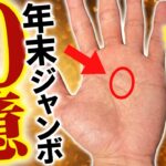 【手相】年末ジャンボ10億円💰運気の上がる買い方伝授！高額当選者に共通する奇跡の手相トップ3