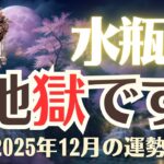 【水瓶座】2025年12月「みずがめ座の運勢」