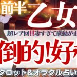 【乙女座】超レア回🤩‼️圧倒的！好機到来🐲見逃し注意👀‼️【仕事運/対人運/家庭運/恋愛運/全体運】12月前半 タロット占い