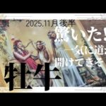 【11月後半💚】牡牛座さんの運勢♉️驚いた👀一気に道が開けてきそう😍宇宙からのお届け届く🎉