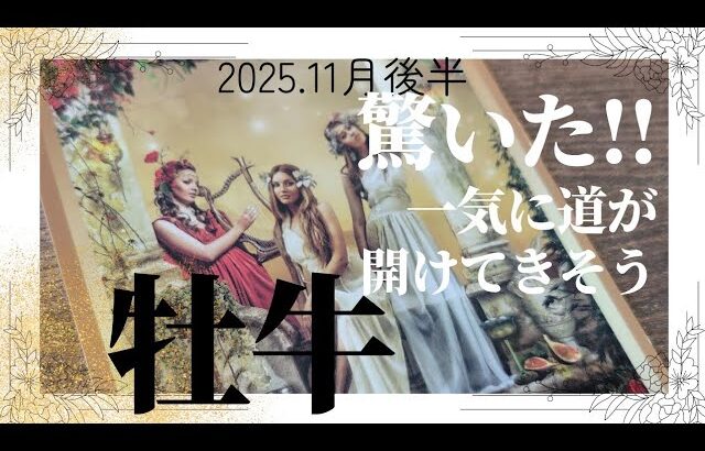 【11月後半💚】牡牛座さんの運勢♉️驚いた👀一気に道が開けてきそう😍宇宙からのお届け届く🎉
