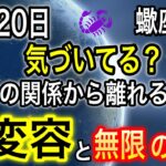 蠍座新月2025年11月20日いつもと違う⚠️超強力なエネルギーで運命が変わる【COCORO Platinum】