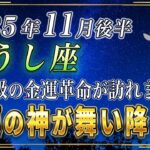 【おうし座♉️】速報です、あなたに特大級の金運が訪れます。11月後半、おうし座のあなたに、金運の神が舞い降ります。【12星座占い】