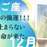 さすがに、断言します。強運が始まるサイン。引き寄せます、とても。【12月の運勢　双子座】
