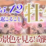 【おうし座さん⛄️】12月あなたに起こること❄️思ってる以上の奇跡が来ます‼️答えが見つかる‼️大丈夫。安心して下さいとカードは伝えています💫【タロット・ルノルマン・オラクルカード占い】