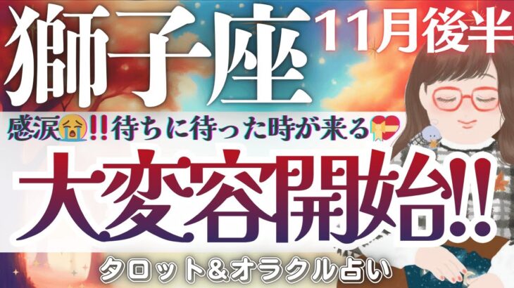 【獅子座】感涙😭‼️待ちに待った時が来る⤴️✨最高の流れと共に♥️✨🌈【仕事運/対人運/家庭運/恋愛運/全体運】11月後半 タロット占い