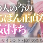 恋愛転機到来⁉️正直どう思ってるのか気持ち聞いてみたところ💖恋愛・復縁・サイレント・曖昧・複雑恋愛【タロット・オラクル・ルノルマン】