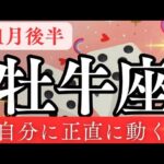 11月後半【牡牛座】〜✨自分に正直に動く✨〜【ルノルマンカード＆オラクルカードリーディング】