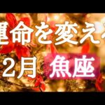 #魚座♓️2026年の運命が変わる12月🎅💎【結論からお伝えします】あれよあれよと〜トントン拍子🎉✨※オフ会の詳細は概要欄へ🍀※タイムスタンプあり