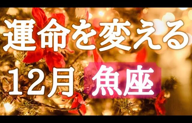 #魚座♓️2026年の運命が変わる12月🎅💎【結論からお伝えします】あれよあれよと〜トントン拍子🎉✨※オフ会の詳細は概要欄へ🍀※タイムスタンプあり