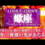 【蠍座】11月後半-12月後半／大きく報われていく！今年のラストは特別な時間✨🕊🌕【タロット】【運勢】【占い】【さそり座】