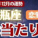 【水瓶座】2025年12月 みずがめ座の運勢 恋愛運「大当たり！」