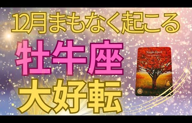吉報😍【牡牛座】終わりと始まり🌟暗闇終了✨冬至で完全再生🌈幸せの流れが一気に押し寄せる🍀