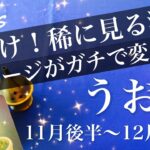 うお座♓️2025年11月後半〜12月前半🌝 うお座さん、すごい希望見えそう！変わり様が半端ない…終わりと始まり、区切りのとき
