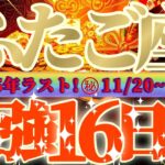 双子座さん見て！こんな自分見た事ない😲超最強の16日間が来るよ👑【11月後半運勢】♾️天一天上♾️