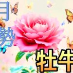 【牡牛座】11月の運勢❤️大予祝！！こりゃ、すごい😳牡牛座🌕満月の恩恵🙌11/6以降❤️‍🔥愛の大復活❤️‍🔥祝福の大変化マンスリー　2025年　タロット占い