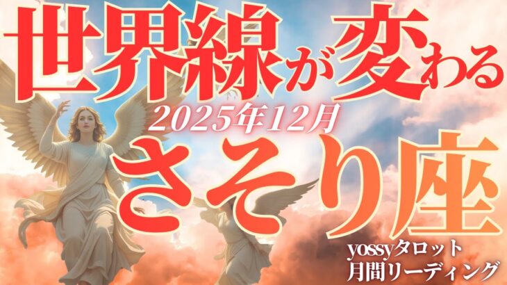12月の運勢💐さそり座　今辛いなと感じる全ての蠍座さんへ🙌✨大丈夫！ドンドン上がり調子になっていく！(お金・仕事・人間関係)