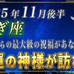 【やぎ座♑️】3秒以内に見てください。11月後半、山羊座のあなたにも、神様からの最大級のご加護が与えられます。【12星座占い】