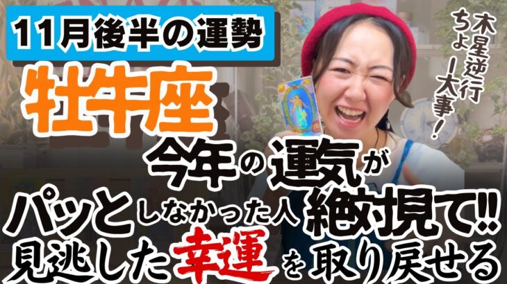 まだまだ私の知らない世界が広がっているんだ！【牡牛座11月後半の運勢】